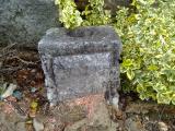 image of grave number 144703
